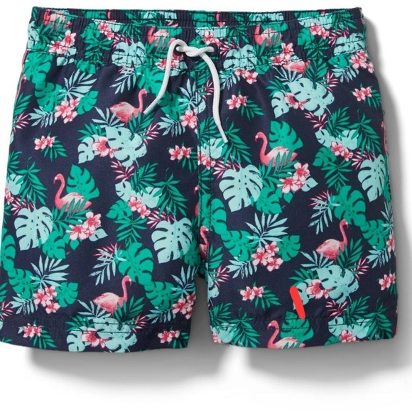 Janie and Jack Other - Janie and Jack flamingo swim trunks 12-18 months